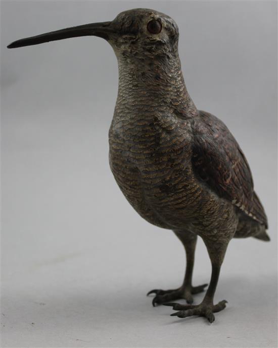 A late 19th / early 20th century Austrian cold painted bronze woodcock, 7in.